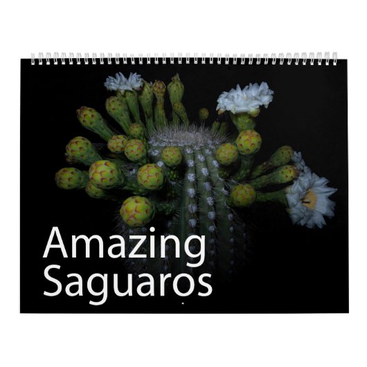 Calendrier Saguaros Extraordinaire (Protection)