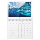 Calendrier Sailing Calendar by Cory Silken (Jan 2026)