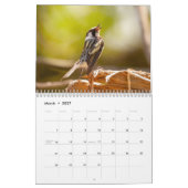 Calendrier Saison Dans Le Parc National De Shenandoah (Mar 2027)
