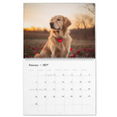 Calendrier Saison Golden Retriever Calandar (Feb 2027)
