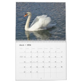 Calendrier saisonnier (Mar 2026)