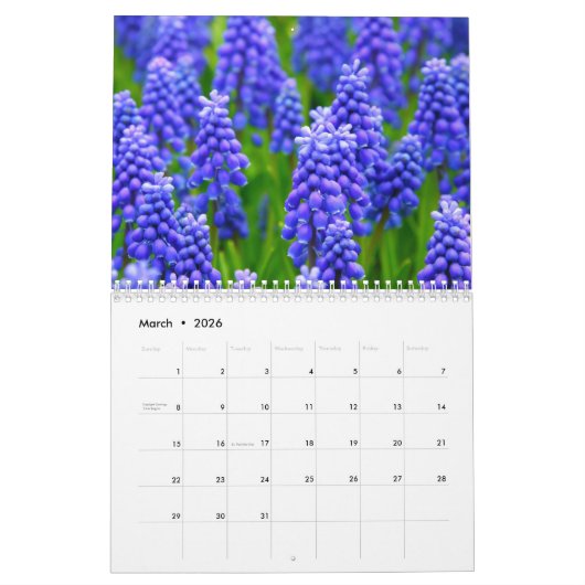 Calendrier saisonnier 2025 (Mar 2026)