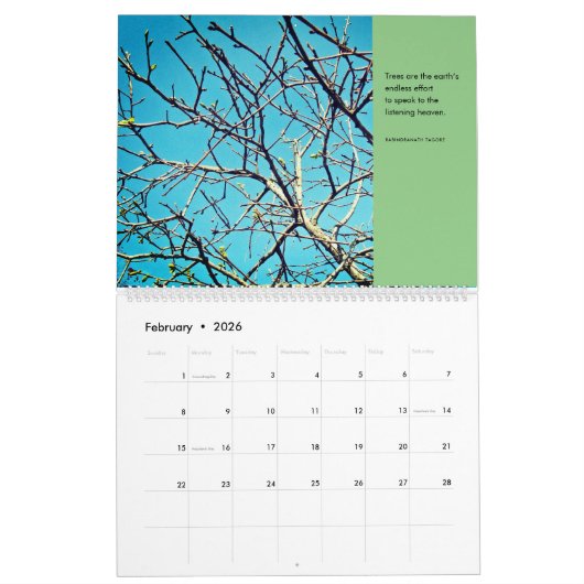 Calendrier Saisons d'un Jardin Persimmon Tree photo (Feb 2026)