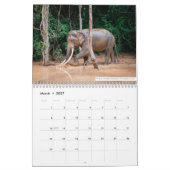 Calendrier Samui Elephant Haven 2023 (Mar 2027)