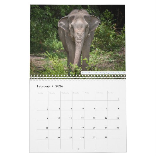 Calendrier Samui Elephant Haven 2023 (Feb 2026)