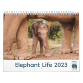 Calendrier Samui Elephant Haven 2023 (Protection)