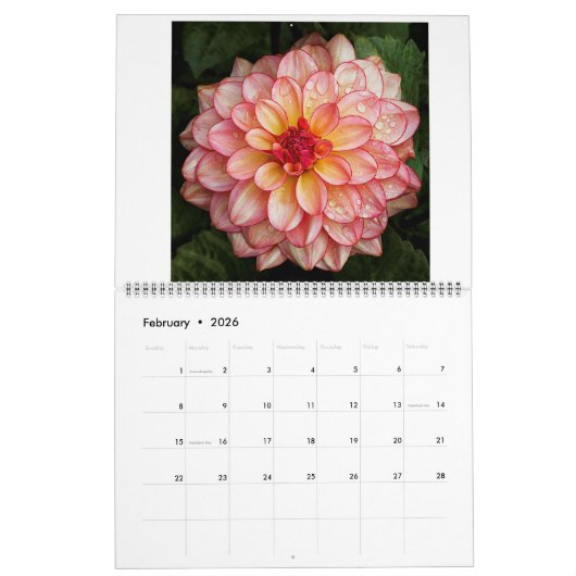 Calendrier San Francisco Dahlias 2022 (Feb 2026)