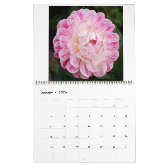 Calendrier San Francisco Dahlias 2022 (Jan 2026)