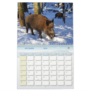 Calendrier Sanglier, Calendar Boars