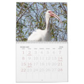Calendrier sauvage 2007 de l'oiseau de Rick (Feb 2026)