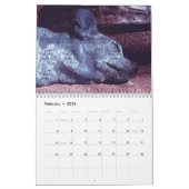 Calendrier sauvage de chien de Curiography (Feb 2026)