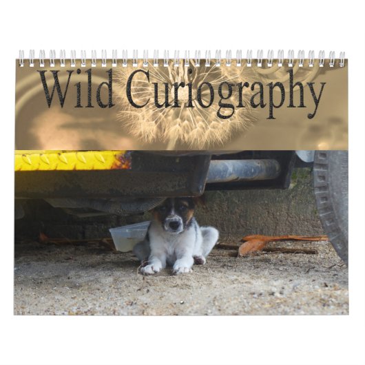 Calendrier sauvage de chien de Curiography (Protection)