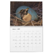 Calendrier sauvage de chien de Curiography (Mar 2027)