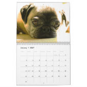 Calendrier sauvage de chien de Curiography (Jan 2027)