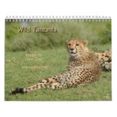 Calendrier sauvage de la Tanzanie (Protection)
