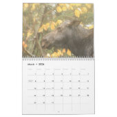 Calendrier sauvage de la vie 2013 du Maine (Mar 2026)