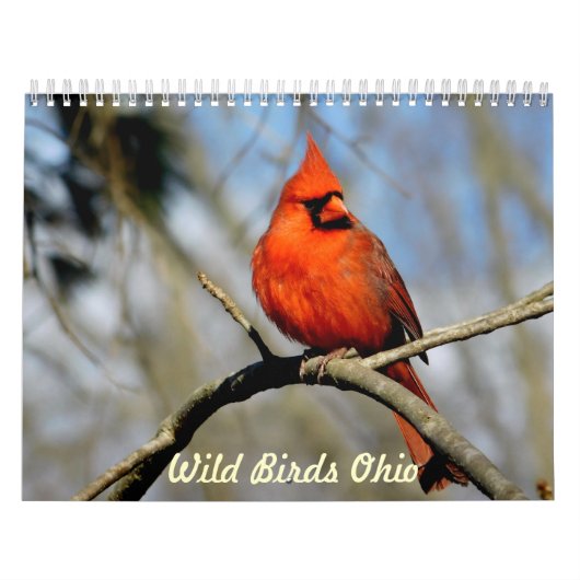Calendrier sauvage de l'Ohio d'oiseaux (Protection)