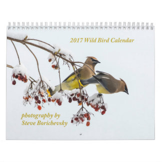 Calendrier sauvage de l'oiseau 2017