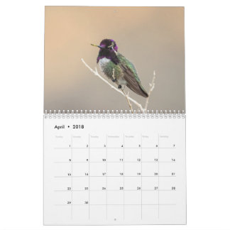 Calendrier sauvage de l'oiseau 2018