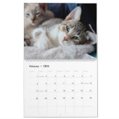 CALENDRIER SAUVER DE PETITES VIES EST LE MEILLEUR (Feb 2026)