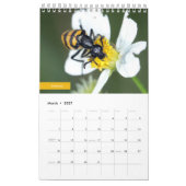 Calendrier Scarabées (Mar 2027)