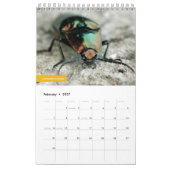Calendrier Scarabées (Feb 2027)