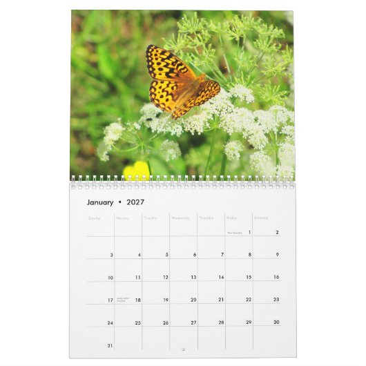 Calendrier Scènes d'un jardin d'agrément (Jan 2027)