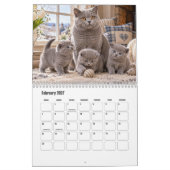 Calendrier Scénique Chats & Chatons (Feb 2027)