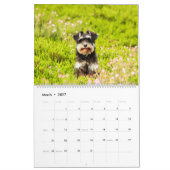 Calendrier Schnauzer (Mar 2027)