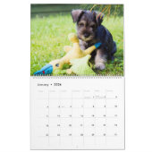 Calendrier Schnauzer (Jan 2026)