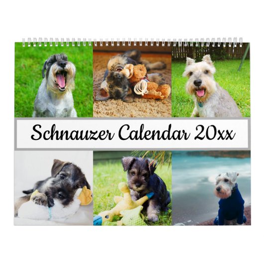 Calendrier Schnauzer (Protection)