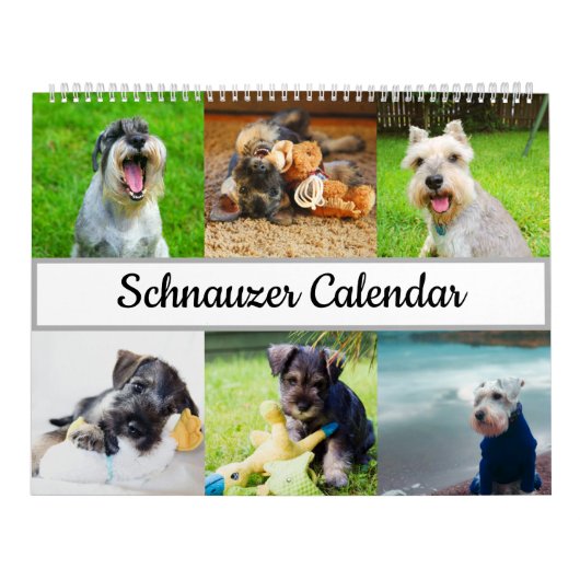 Calendrier Schnauzer (Protection)