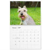 Calendrier Schnauzer (Feb 2027)