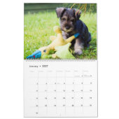 Calendrier Schnauzer (Jan 2027)
