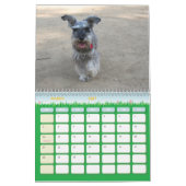 Calendrier Schnauzer Calander (Mar 2027)