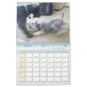 Calendrier Schnauzer Calander (Feb 2027)