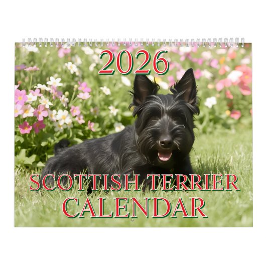 CALENDRIER SCOTTISH TERRIER 2026 (Protection)