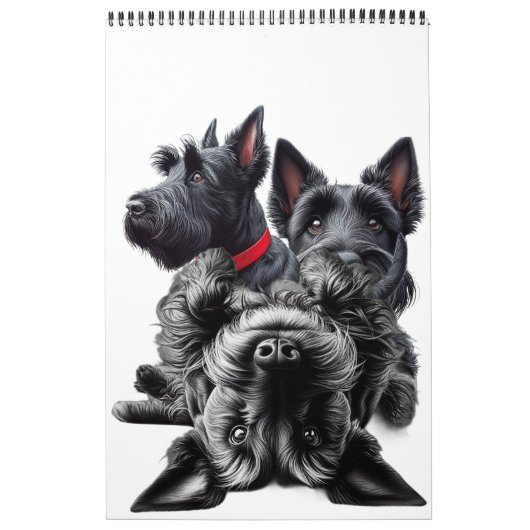 Calendrier SCOTTISH TERRIER en (Protection)