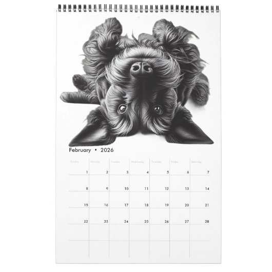 Calendrier SCOTTISH TERRIER en (Feb 2026)