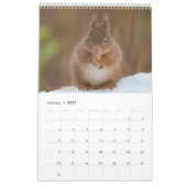 Calendrier Scottish Wildlife Calendar 2022 (Jan 2027)