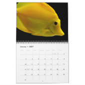 Calendrier Sea Life (Jan 2027)