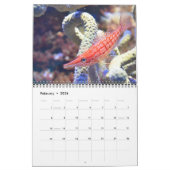 Calendrier Sea Life (Feb 2026)