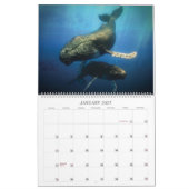 Calendrier Sea Life 2021 (Jan 2027)