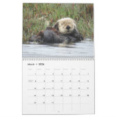 Calendrier Sea Otter Channel Calendar #1 (Mar 2026)