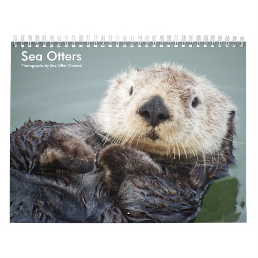 Calendrier Sea Otter Channel Calendar #1 (Protection)