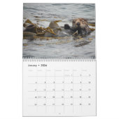 Calendrier Sea Otter Channel Calendar #1 (Jan 2026)