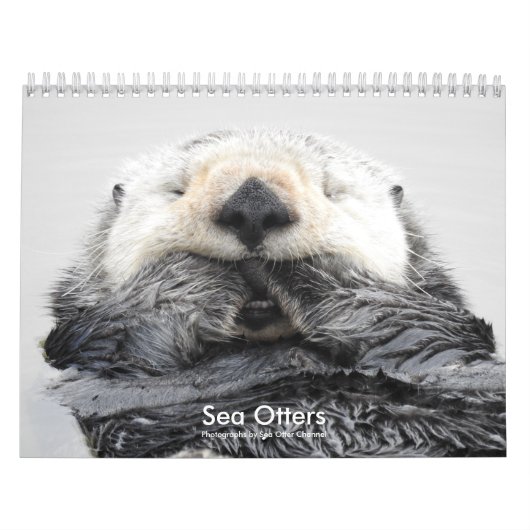 Calendrier Sea Otter Channel Calendar #2 (Protection)