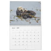 Calendrier Sea Otter Channel Calendar #2 (Mar 2027)