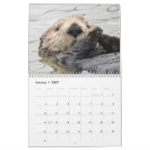 Calendrier Sea Otter Channel Calendar #2 (Jan 2027)