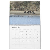 Calendrier Sea Otter Channel Calendar #2 (Feb 2027)